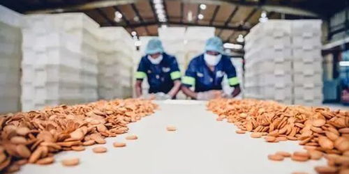 人民日報評論 邊角料食品 莫讓 省錢寶藏 變成 零食刺客