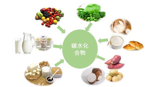特醫食品的配方設計 碳水化合物的篩選