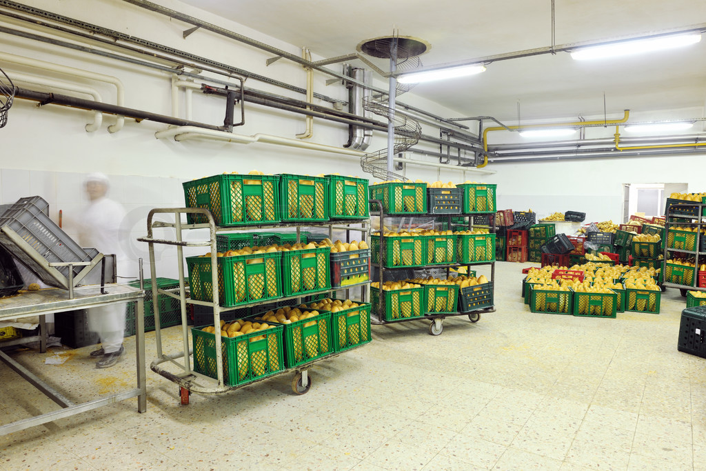 面包烘焙食品工廠生產的新鮮產品產品實拍免費下載_jpg格式_6048像素_編號38550472