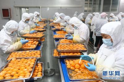 安徽淮北:延伸果蔬加工產業鏈 出口罐頭生產忙