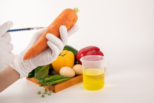 胡蘿卜食品安全農業科技食品培育攝影圖 插畫 下載至來源處