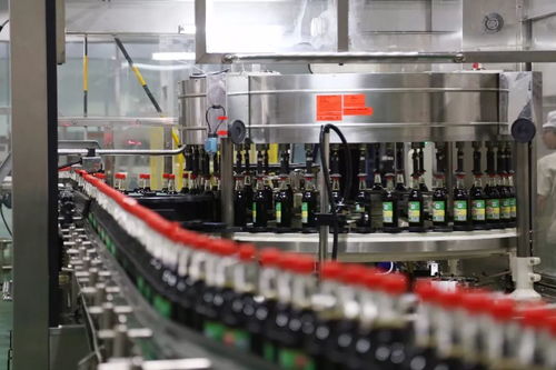 天 寒 地 凍 寧鄉這些重點企業生產情況怎么樣