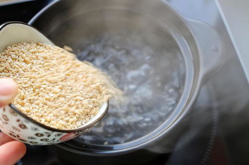 忠告 四種 垃圾食品 已公布,燕麥排第二,第一名很多人都喜歡