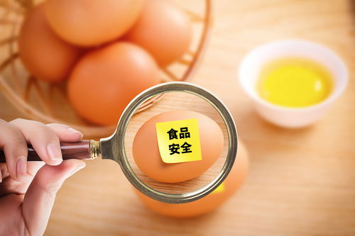 過期食品幾天內免罰款