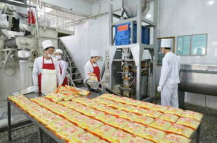 嘉峪關食品廠凈化車間規范要求,凈化工程找哪家