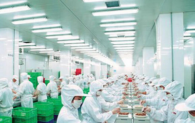 食品加工包裝行業(yè)發(fā)展迅猛