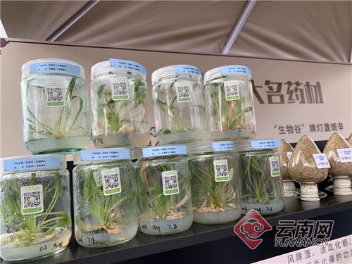 綠色食品牌碼 打造云品綠色發展 縣域經濟 昆明頻道
