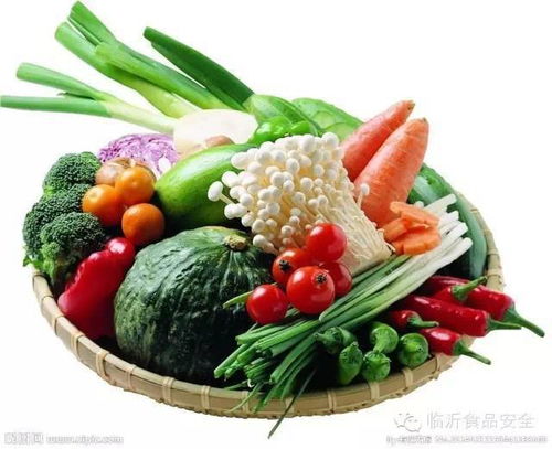 常用食品的安全選購 食用與保存